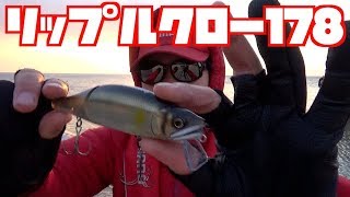 ジョイクロのリップ付きの動きに絶句した【ジョイクロ生活２日目】