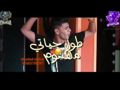 حاله واتس اعدائي في ابتدائي مهرجان كارثة 2020  علي قدوره نور التوت