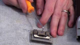 Clipper blade care - Troubleshooting Clipper Blade Issues (part 2 of 2)