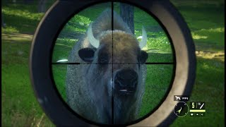 Jagderfolge bei TheHunter Call of the Wild #4