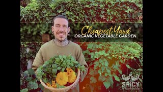 The cheapest way to turn your yard into an organic vegetables garden