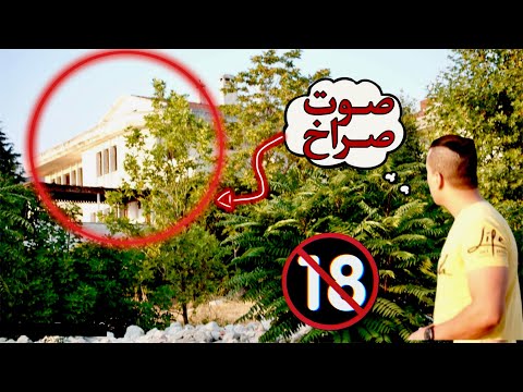 فيديو: كيفية مواعدة برج 