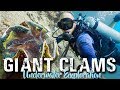 Camiguin Island CLAM SANCTUARY | Philippines Travel Vlog 2018