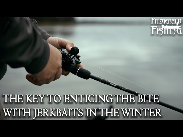 Maximizing Your Catch: Tips and Techniques for Wintertime Jerk Baiting