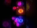 Biggest Explosion in the Universe 💥 | Space is Not Quiet! #Shorts #MrAstronaut #Space #viralshorts