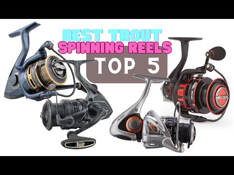 Best Trout Spinning Reels On