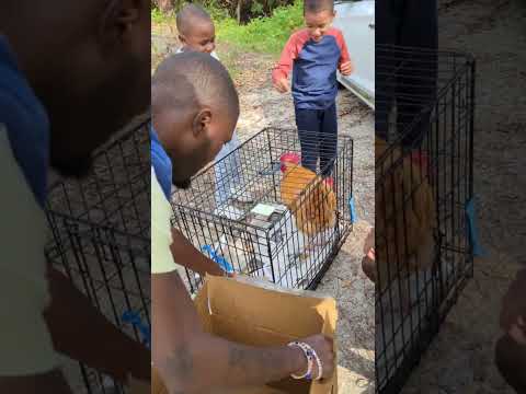 Mr Pinky is with his new family