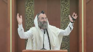 מורא מקדש | רה