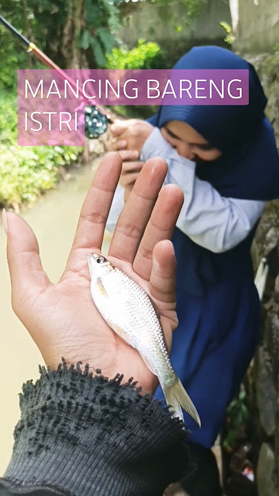 Lady Angler || Mancing Bareng Istri #mancing #fishing