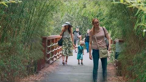 ProShow Producer parallax effect