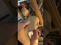 Carving on a Head Study: OS, Origin Story | One-Eyed Artist Process”