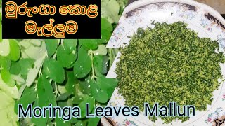 තරුණ කම රැක දෙන මුරුංගා කොළ මැල්ලුම|How to make Moringa Leaves Mallun protects our youth#srilanka