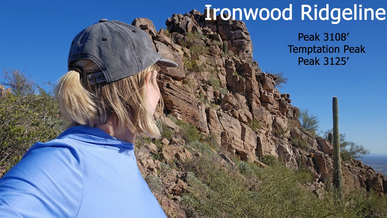 Ironwood Ridgeline - Visiting 3 Peaks in the Goldfield Mountains