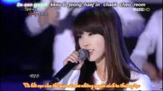 [vietsub] IU- A Goose's Dream Live