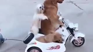 Fyi Njjnh G C Thhjjjbhyvhy