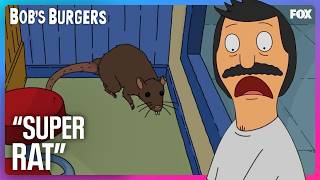 Bob Traps a Super Rat in the Restaurant | Bob’s Burgers