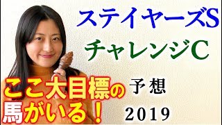 【競馬】ステイヤーズステークス チャレンジカップ 2019 予想（ここに大勝負をかける馬が1頭だけいます） ヨーコヨソー