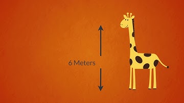 How to build a pit latrine - Distance between pit latrine and house