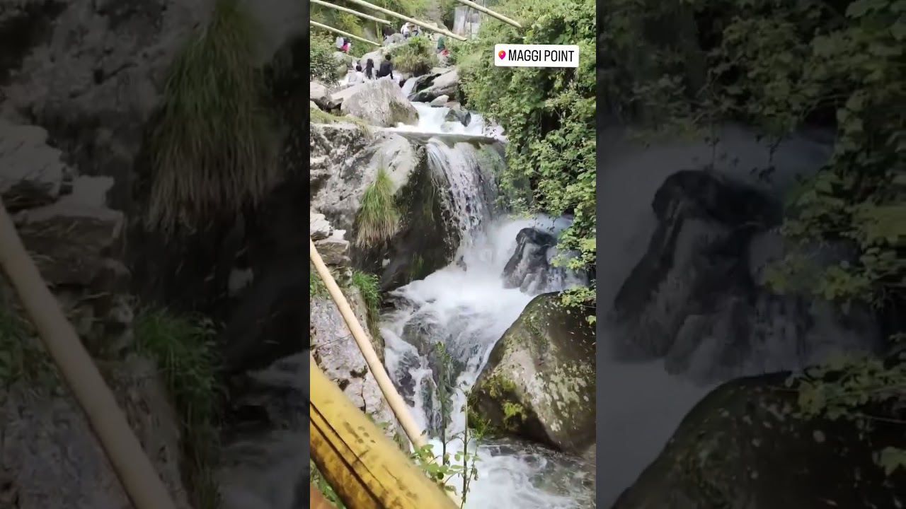 I Love Maggie But Only In Mountains 🏔️😋 