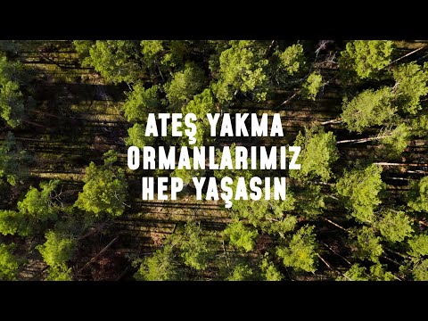 Ateş Yakma, Ormanlarımız Hep Yaşasın! #DahaYanmadan  | TEMA