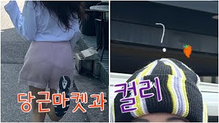 여기예서 VLOGㅣ컬리로 식량시키기, 당근마켓거래 성공? , 길고양이의 아가들 #여기예서 #브이로그