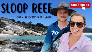 SLOOP REEF | EAST COAST TASMANIA