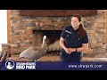 Keeper Talk - Cape Barren Goose