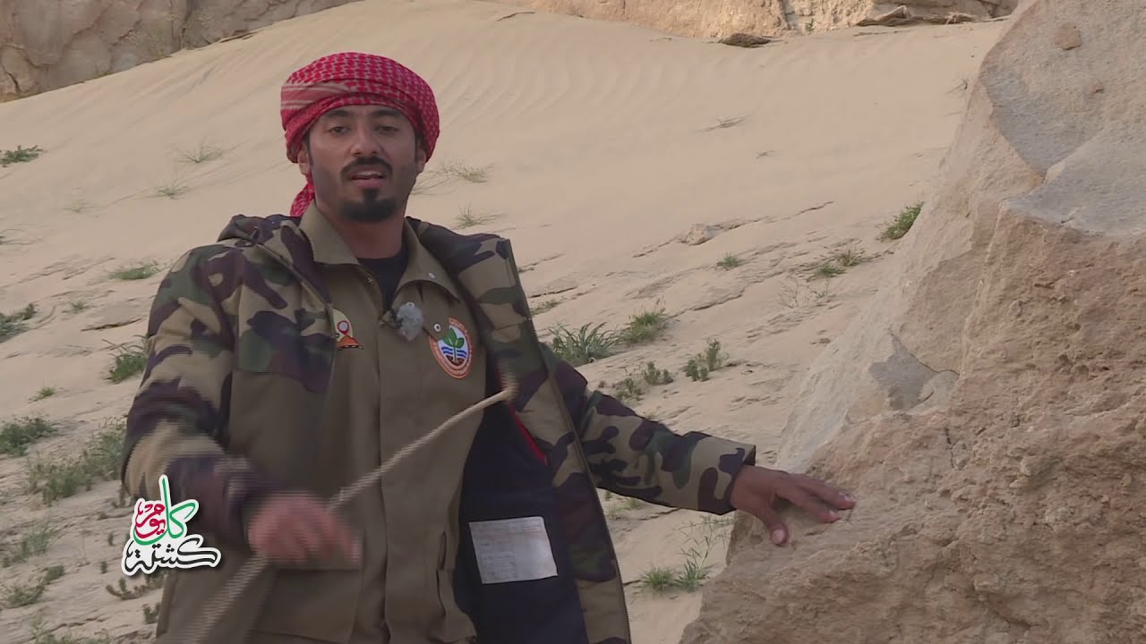 برنامج كل يوم كشتة حلقة الإنزلاقات الصخرية الحلقة الخامسة