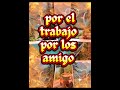 Comienza tu día dando gracias Adiós #motivation #dia #buenosdias