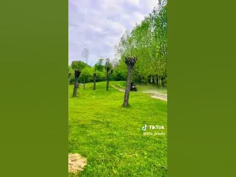квадрік - YouTube