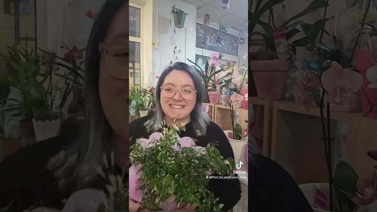 Jasminum Polyanthus sau iasomie de camera