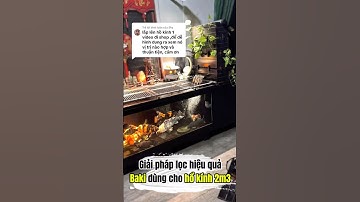 Giải pháp lọc hồ kính hiệu quả bằng baki lọc #kingkoifarm #cakoi #koifish #locnuochoca #locbaki