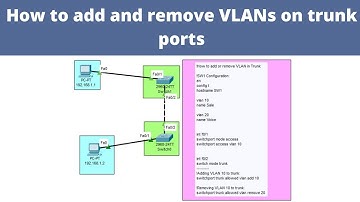 How to add and remove VLANs on trunk ports  | CCNA | Networkforyou