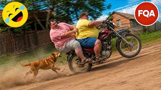 Try Not To Laugh  Top 100 Funniest S Ever  Funny S Compilation 2026 P102