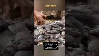 لما تكون تاكل في رحمة ربي ???