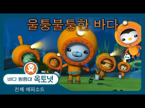 바다 탐험대 옥토넛 - 🛟 울퉁불퉁한 바다 🌊 - 80분+ - 모음집
