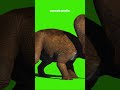 5 Datos Sorprendentes Sobre la Alimentación del Ceratosaurus