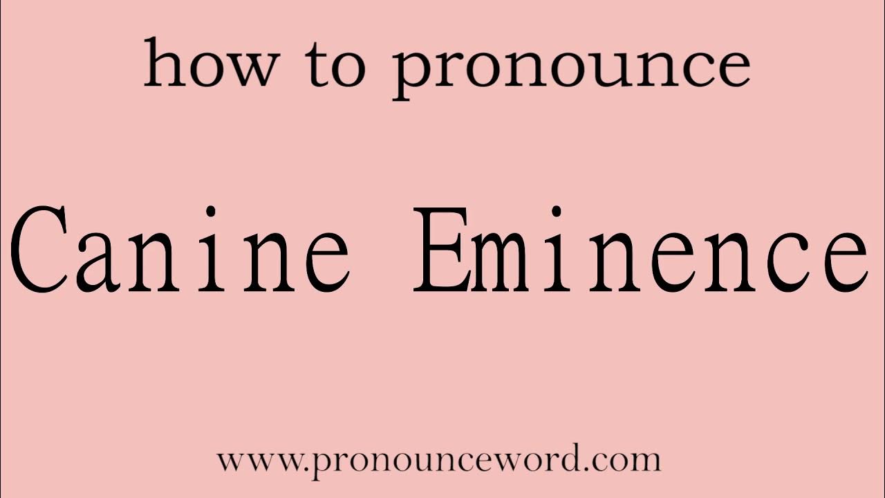 Canine Eminence. How to pronounce the english word Canine Eminence