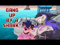 GETTING GANG UP BY A SHARK GETTING GANG UP BY A SHARK
