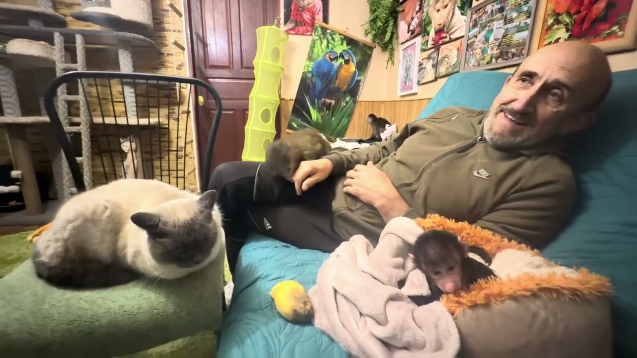 Странные есть люди, они умудряются критиковать даже милые видео детских утренников и подарков😘