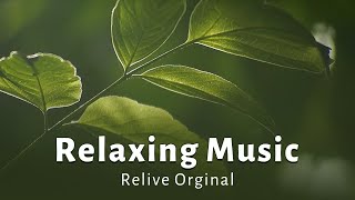 Download lagu Relaxing Music for Mindful Breathing | Relive Original