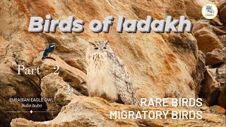 BIRDS OF LADAKH || PART -2 || 1080p HD || By PADMA GYALPO ||