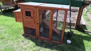 check out our new coop ! http://www.amazon.com/gp/product/B0082WU8QE/ref=oh_aui_de....