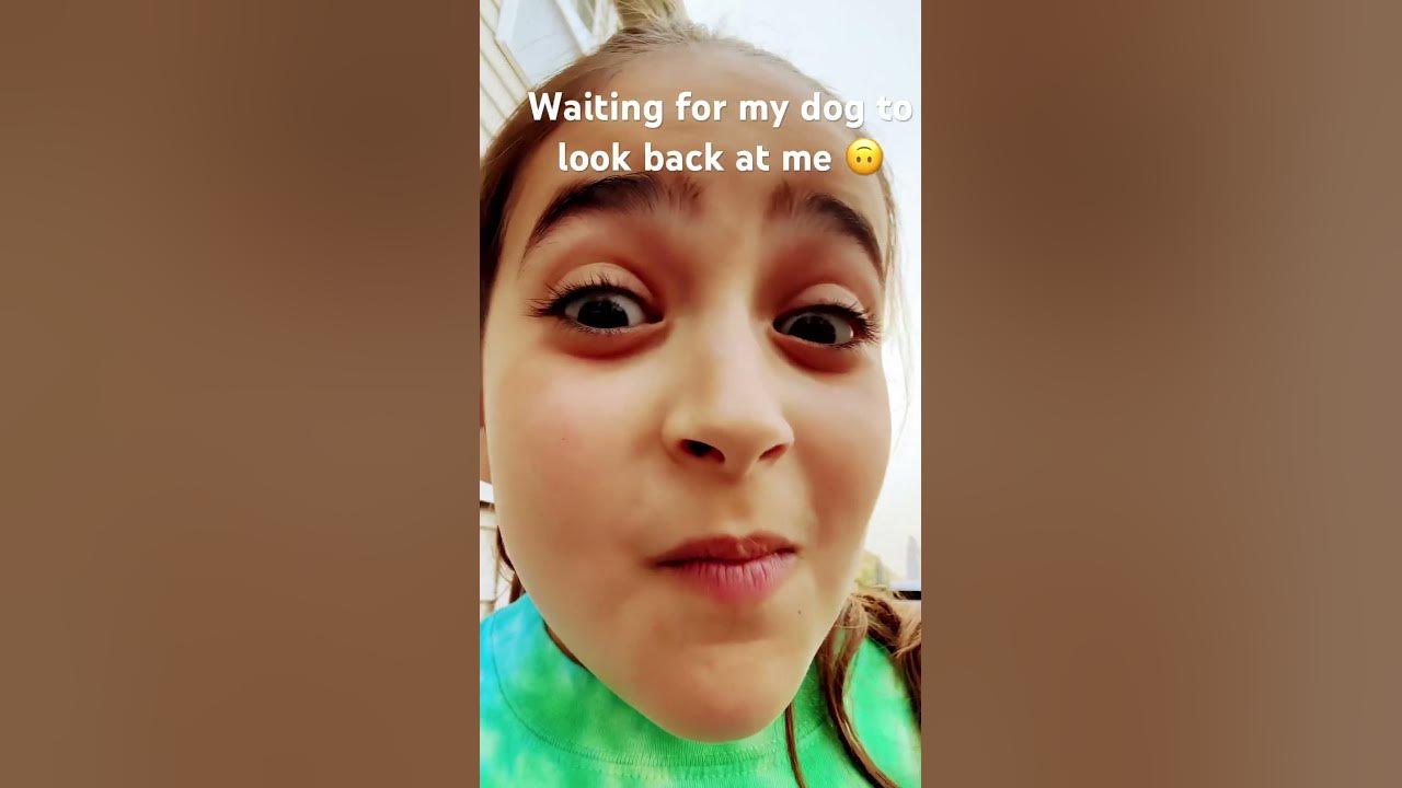 waiting-for-my-dog-to-look-at-me-back-youtube