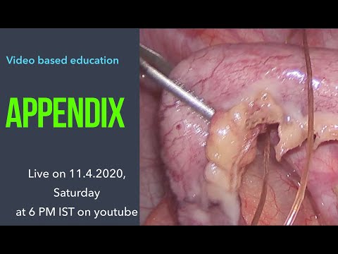 Appendix teaching video