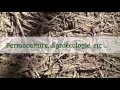 Permaculture, Agroécologie, Etc ...