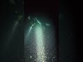 night dive