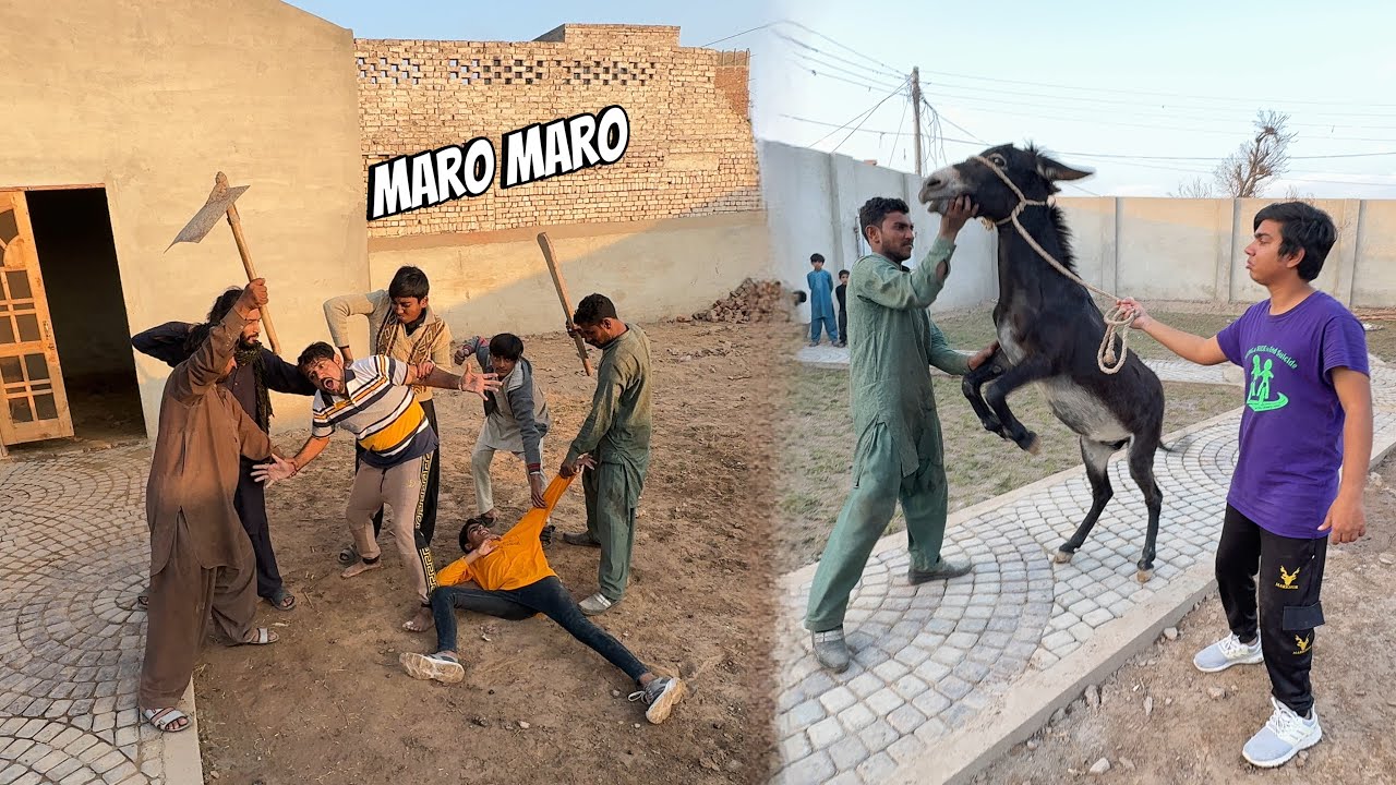 Donkey Ko Wapas Lena A Gaha 😰 Mamu Ki Larai Ho Gahi 😡