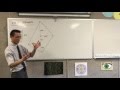 Polygon Measurements and Properties