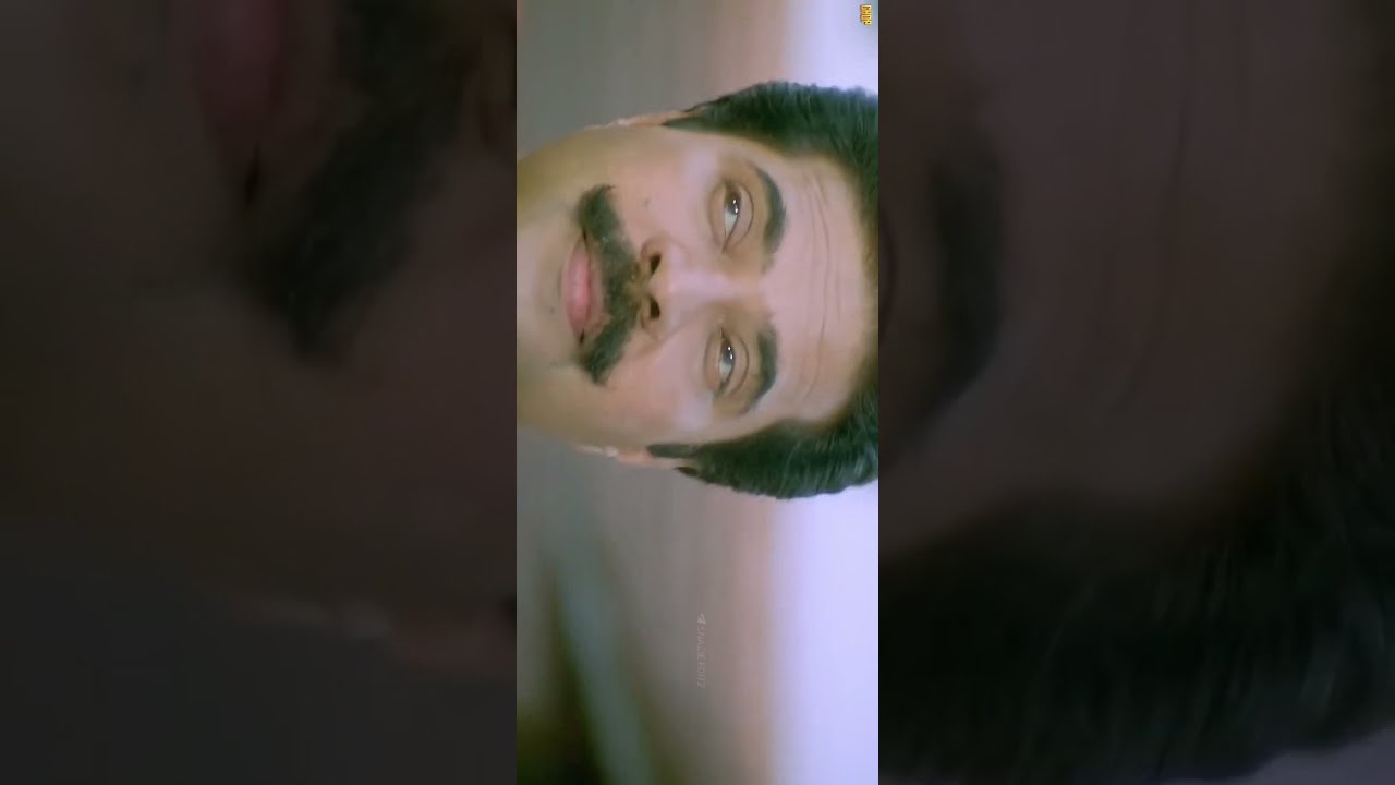 Vallyettan Movie Mammootty Arakkal Madavanunni Status Video By STATUS UPDATES